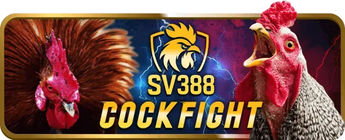 Ưu đãi chào mừng thành viên mới 85win