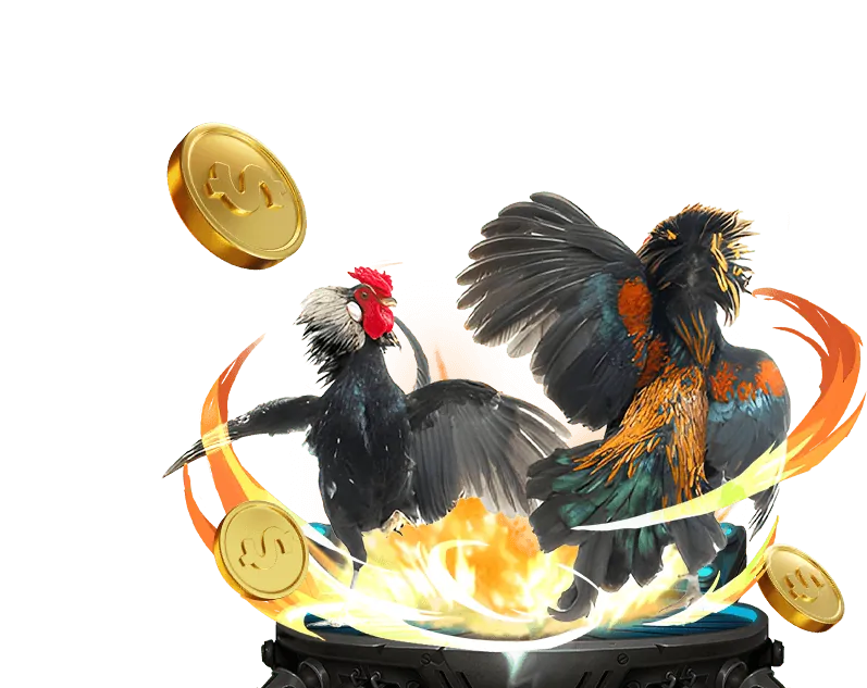 Chương trình hoàn trả hàng ngày cho đá gà tại 85win